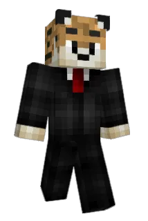 ussual Minecraft avatar full body