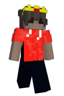 v1lk1 Minecraft avatar full body