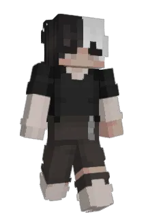 v1n4ssa Minecraft avatar full body