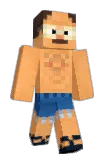 v1taminzs Minecraft avatar full body