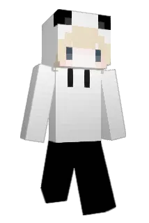 v4ic Minecraft avatar full body