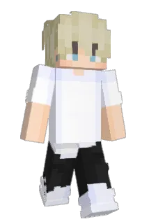 vF4bii Minecraft avatar full body