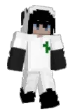 vHack Minecraft avatar full body