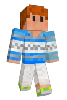 vNARF Minecraft avatar full body