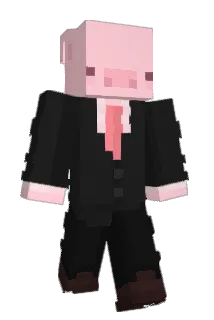 vPN543 Minecraft avatar full body