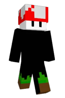 vRafica Minecraft avatar full body