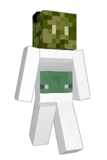 vTqm Minecraft avatar full body