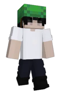 vTurtles Minecraft avatar full body