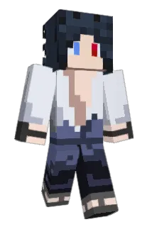 va9433 Minecraft avatar full body