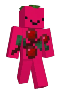 vacilences Minecraft avatar full body