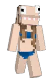 vaginessa Minecraft avatar full body