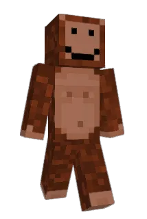 vaki11 Minecraft avatar full body