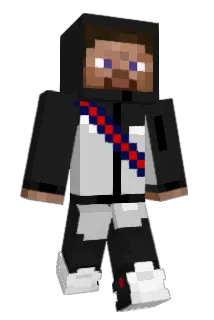 valavandebuurt Minecraft avatar full body