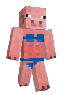 vanessamessa Minecraft avatar full body