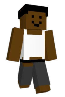 vannishes Minecraft avatar full body