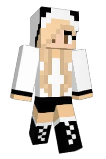 vaoms Minecraft avatar full body