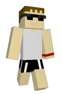 vapingintoilets Minecraft avatar full body