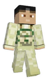 Custom render preview