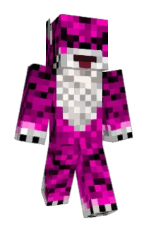varei Minecraft avatar full body