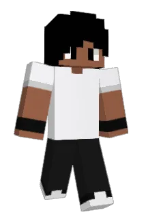 varias_pessoas Minecraft avatar full body