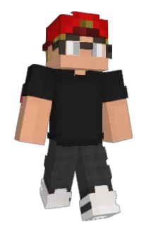 varionflo Minecraft avatar full body