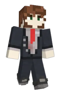vashsoryu Minecraft avatar full body