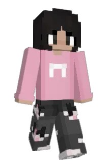 vassytender Minecraft avatar full body