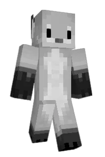 vboy5 Minecraft avatar full body