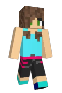 vdhdez Minecraft avatar full body