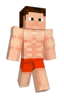 ve3000 Minecraft avatar full body