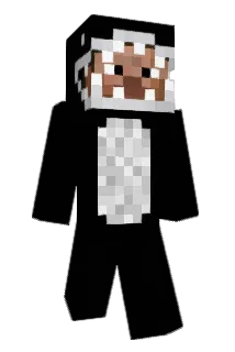 veast4 Minecraft avatar full body