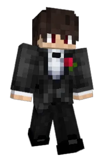 vec1h1 Minecraft avatar full body