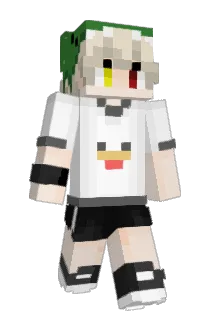 veen01 Minecraft avatar full body