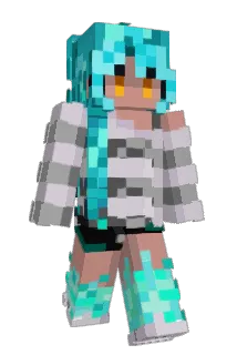 veewas Minecraft avatar full body