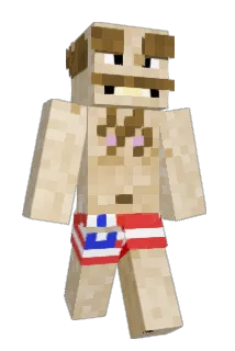 vegfroy Minecraft avatar full body