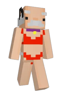 venancin Minecraft avatar full body