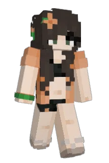 venusstxrs Minecraft avatar full body