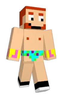 veol321 Minecraft avatar full body