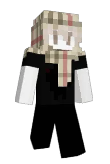 ver1xx Minecraft avatar full body