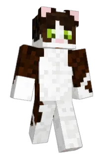 verf1x Minecraft avatar full body