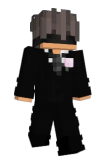 vermieden Minecraft avatar full body