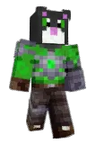 vero25 Minecraft avatar full body