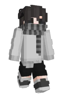 verwirrung Minecraft avatar full body