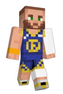 veryterry Minecraft avatar full body