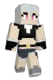 vexvirae Minecraft avatar full body