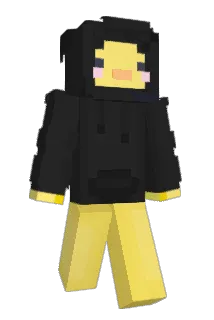 vexzixity Minecraft avatar full body