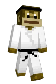 vfhr122 Minecraft avatar full body