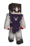 vhdn Minecraft avatar full body
