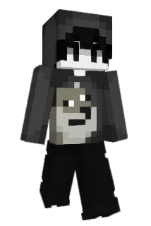 vhic Minecraft avatar full body