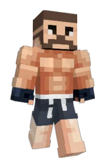 viXalk Minecraft avatar full body